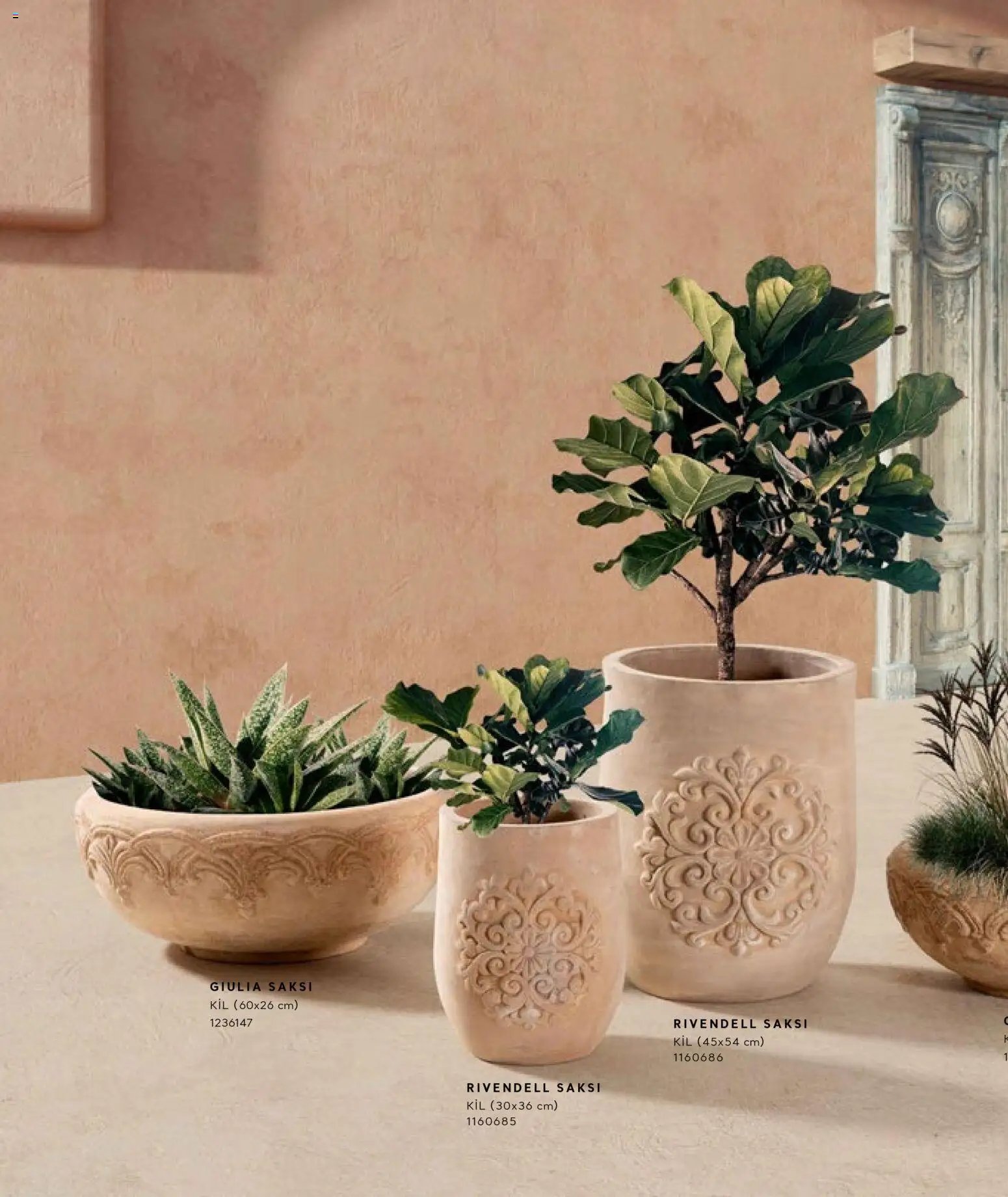 Mudo - Katalog Saksi 2026