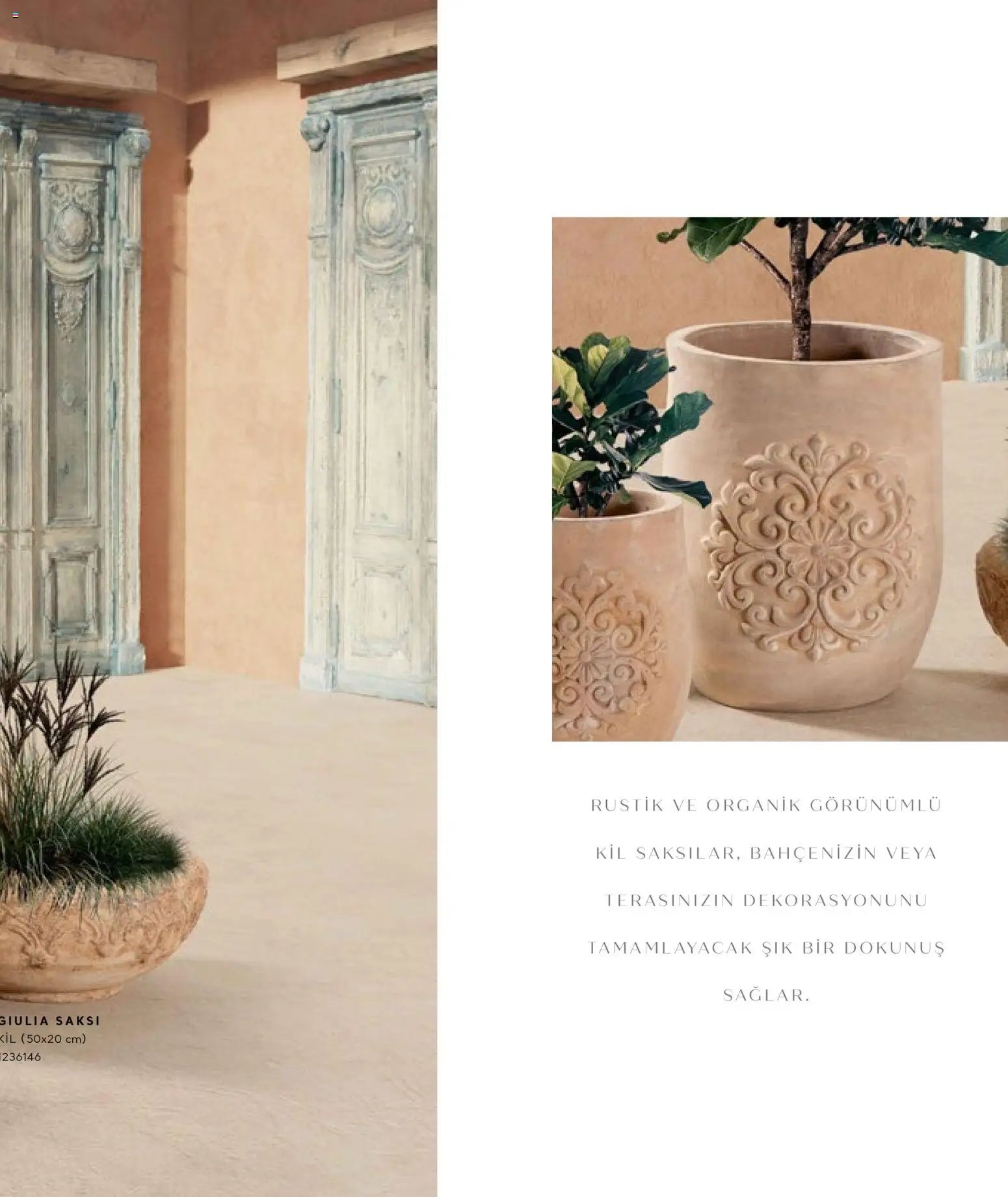 Mudo - Katalog Saksi 2026