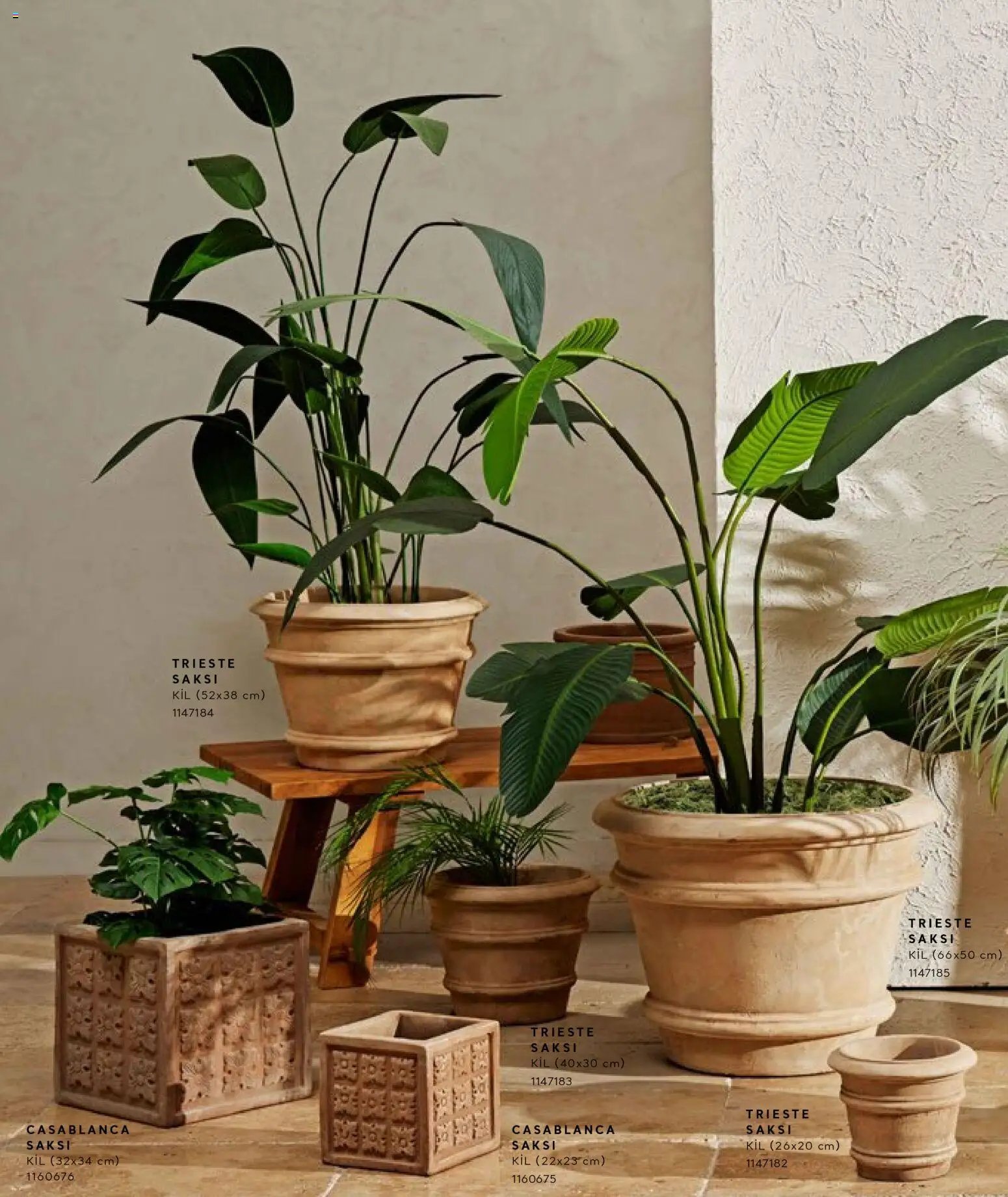 Mudo - Katalog Saksi 2026