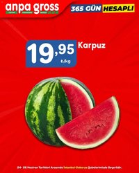 Anpa Gross İndirim