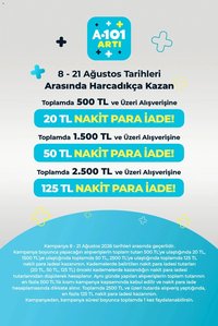 A101 - Arti