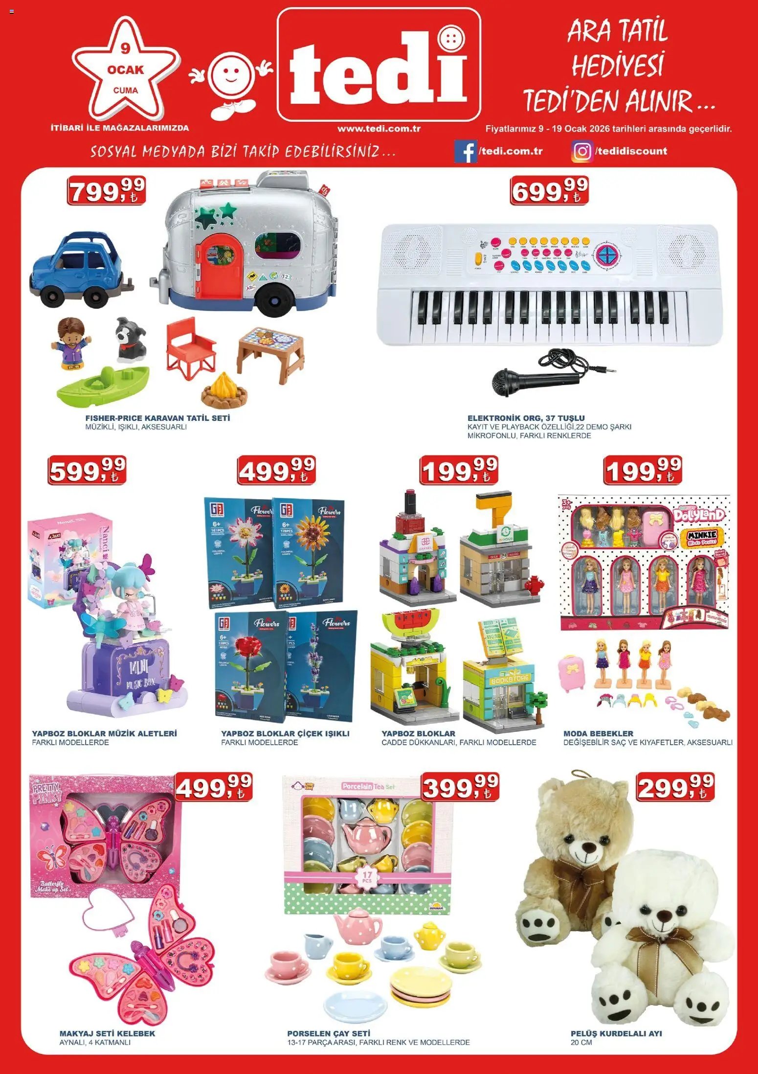 Tedi  - Katalog