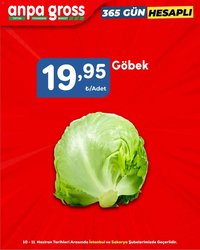 Anpa Gross - Sebze ve meyve