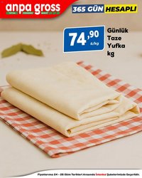 Anpa Gross 365 Gün Hesaplı