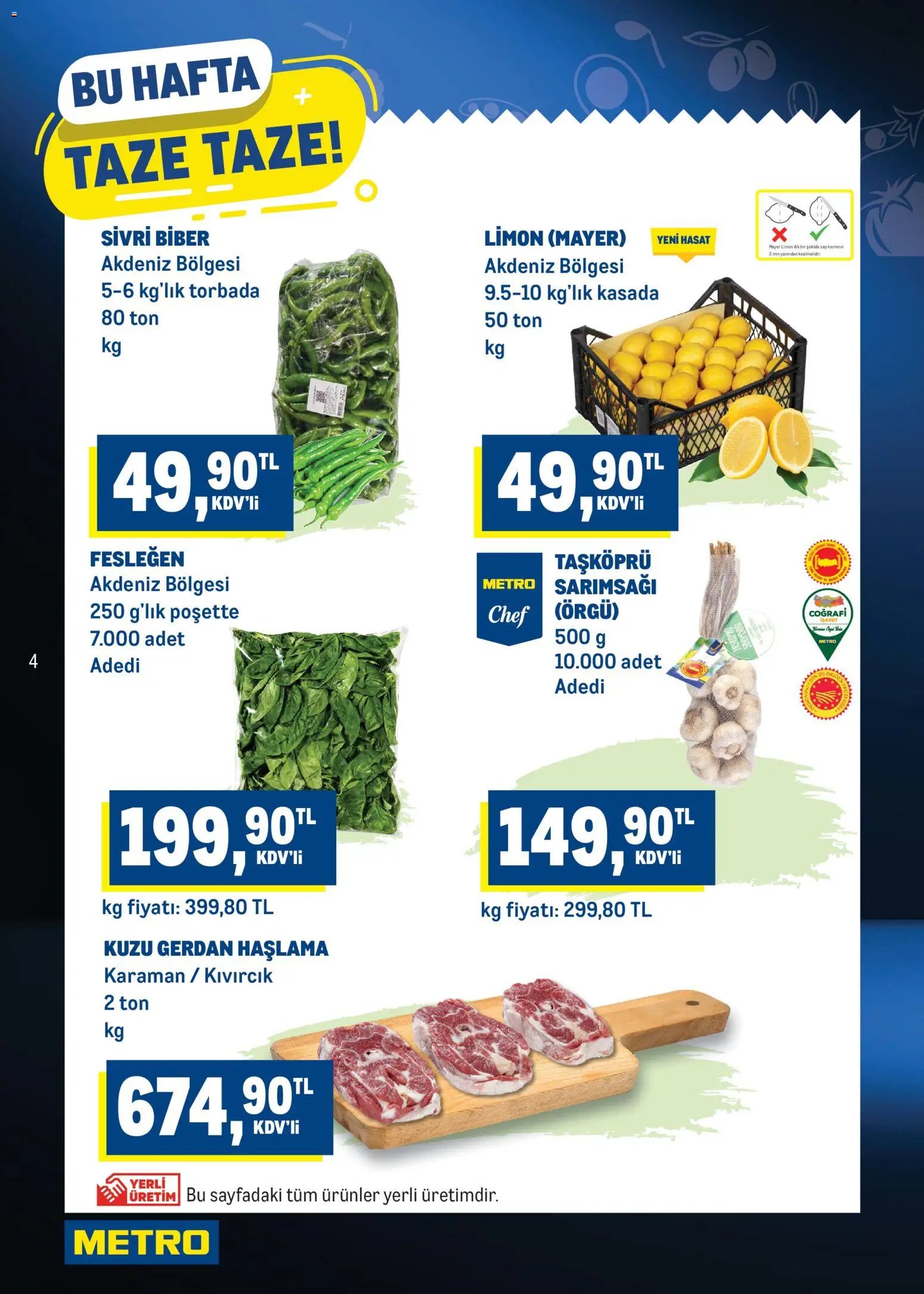 Metro Katalog