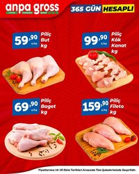 Anpa Gross Piliçte Tazelik