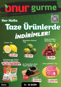 Onur Market Katalog Gurme - Bursa