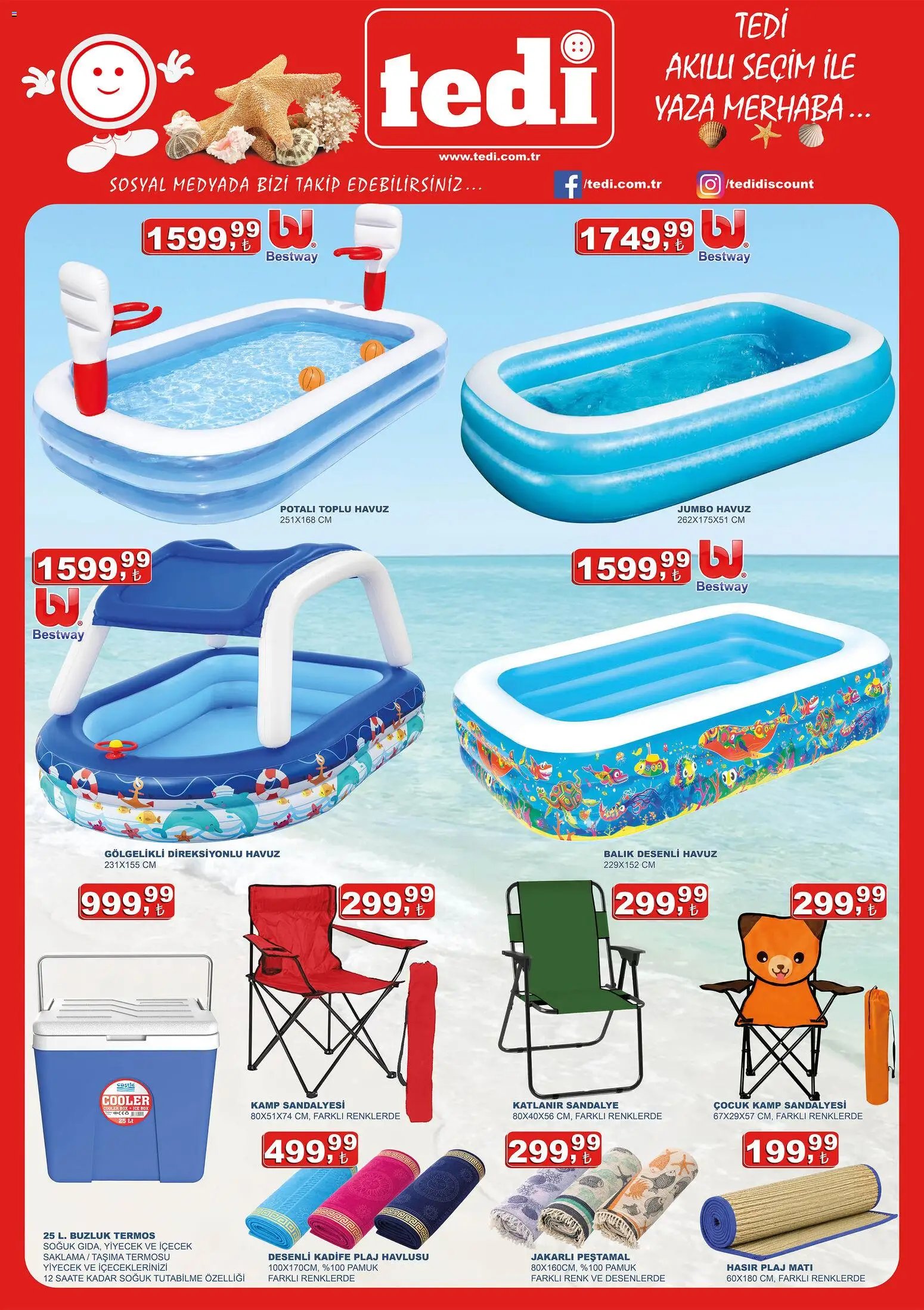 Tedi  Katalog