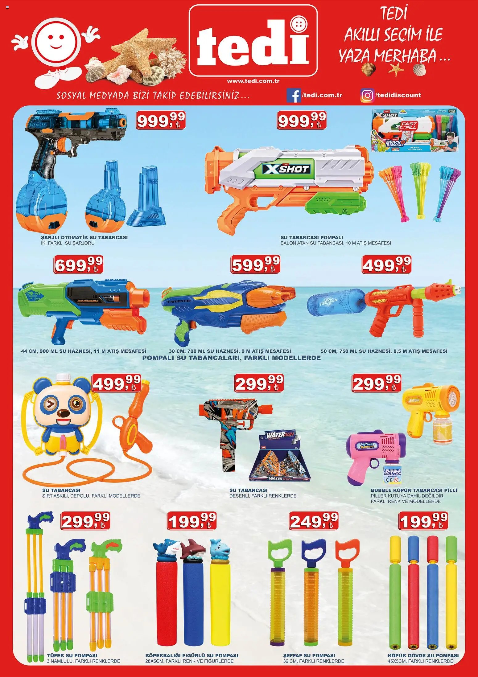 Tedi  Katalog