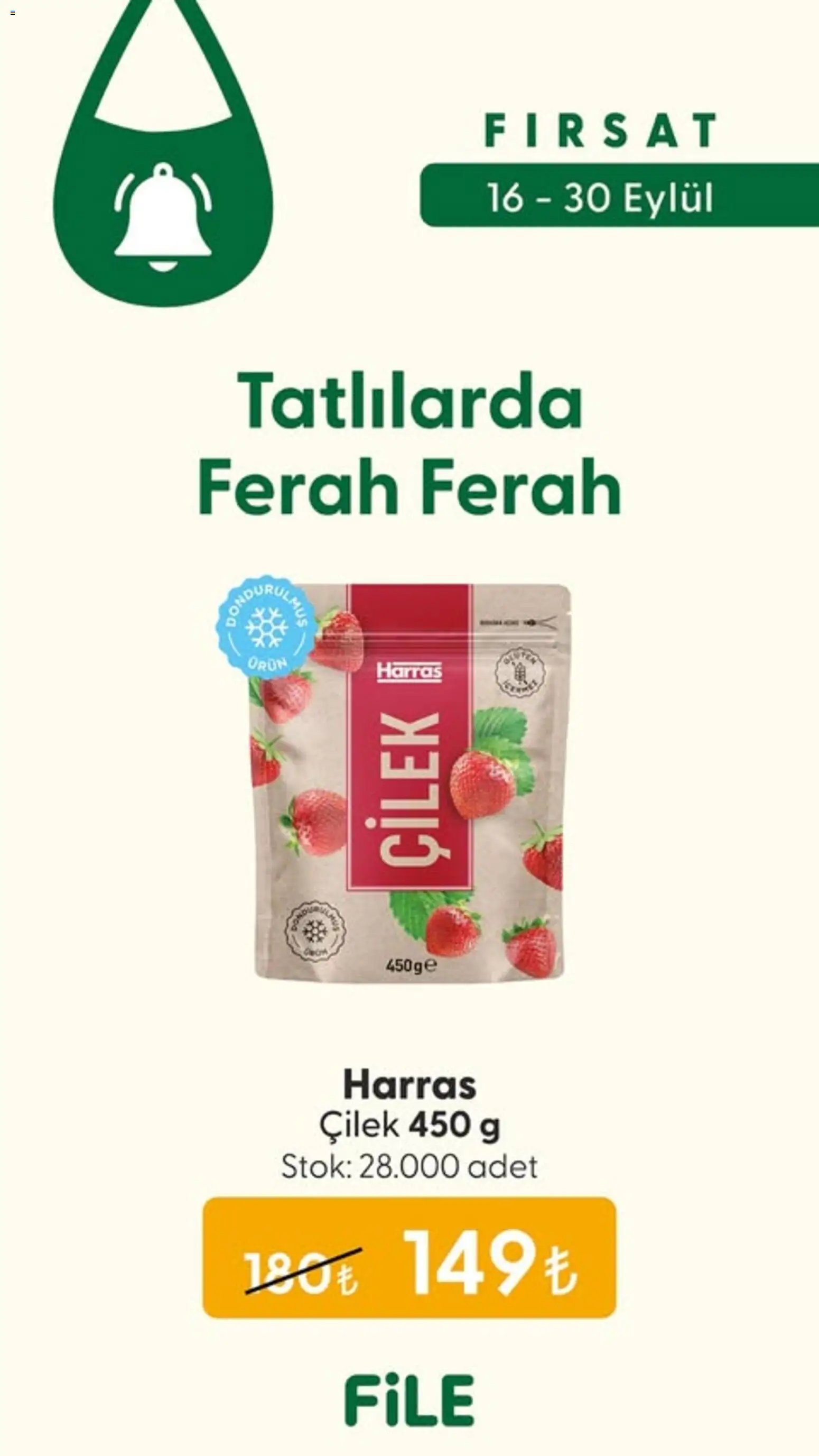 File Market Katalog