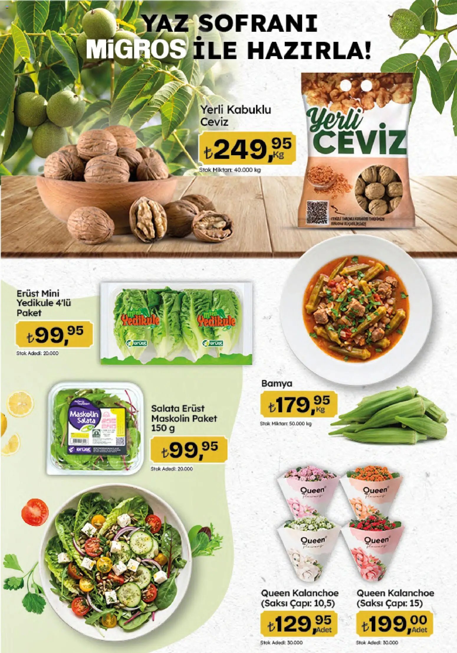 Migros Katalog - 5M Migroskop Dijital