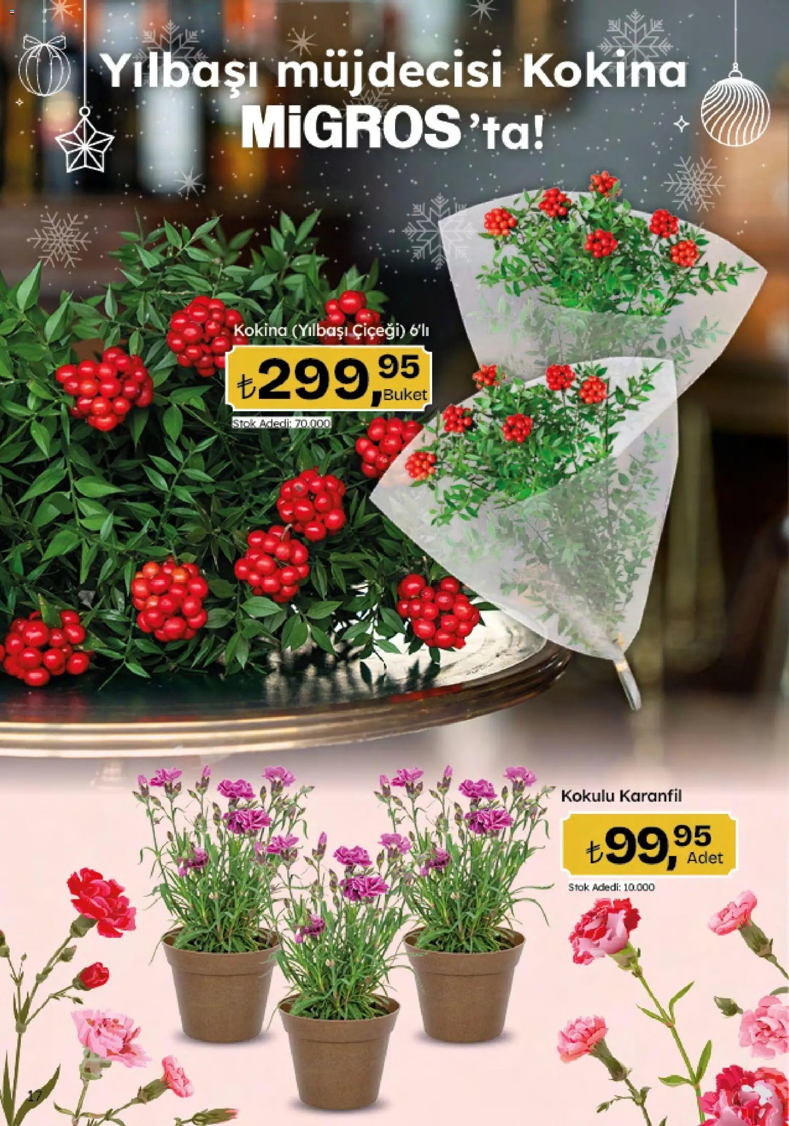 Migros Katalog - 5M Migroskop Dijital