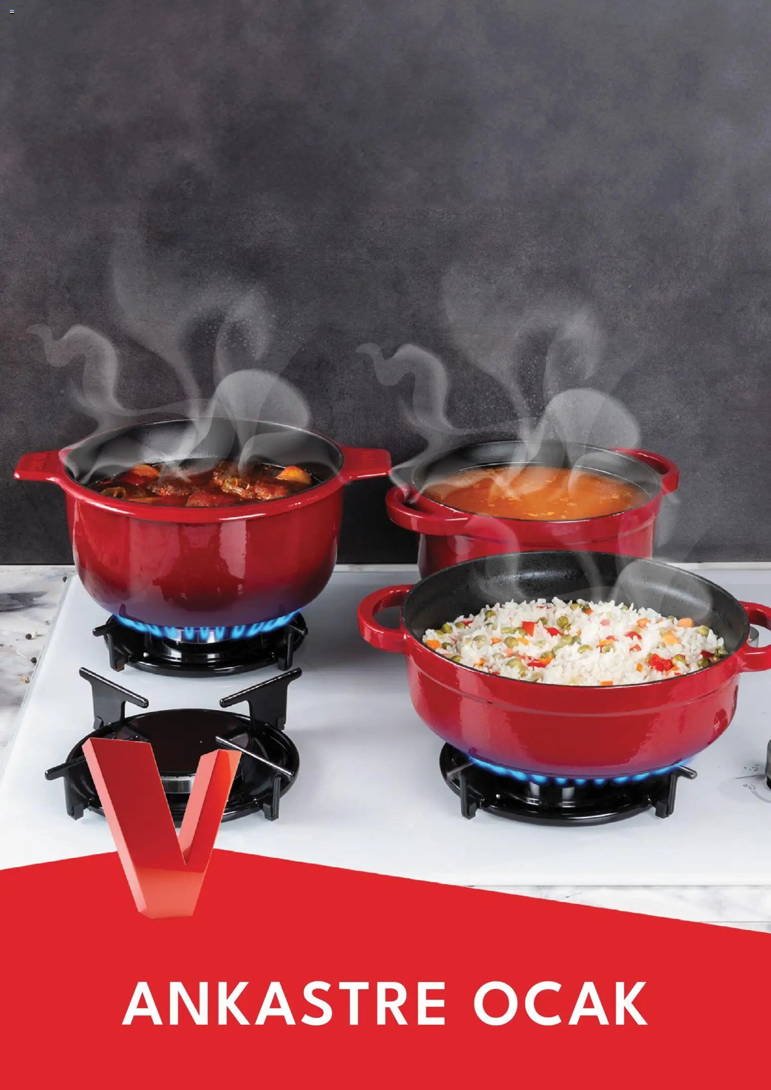Vestel - Ankastre Katalog