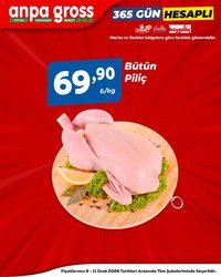 Anpa Gross Piliçte Tazelik