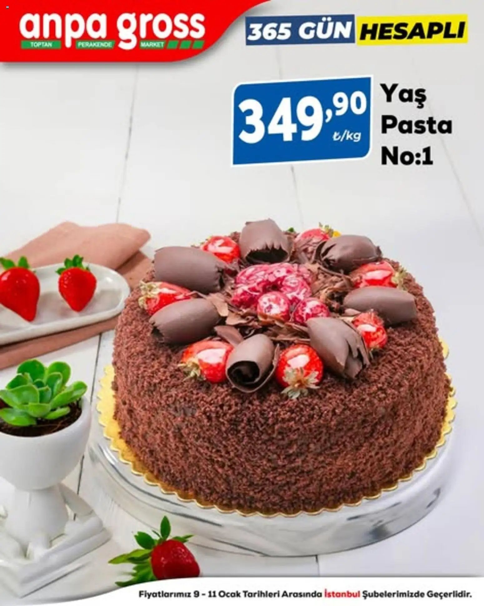 Anpa Gross - 365 Gün Hesaplı