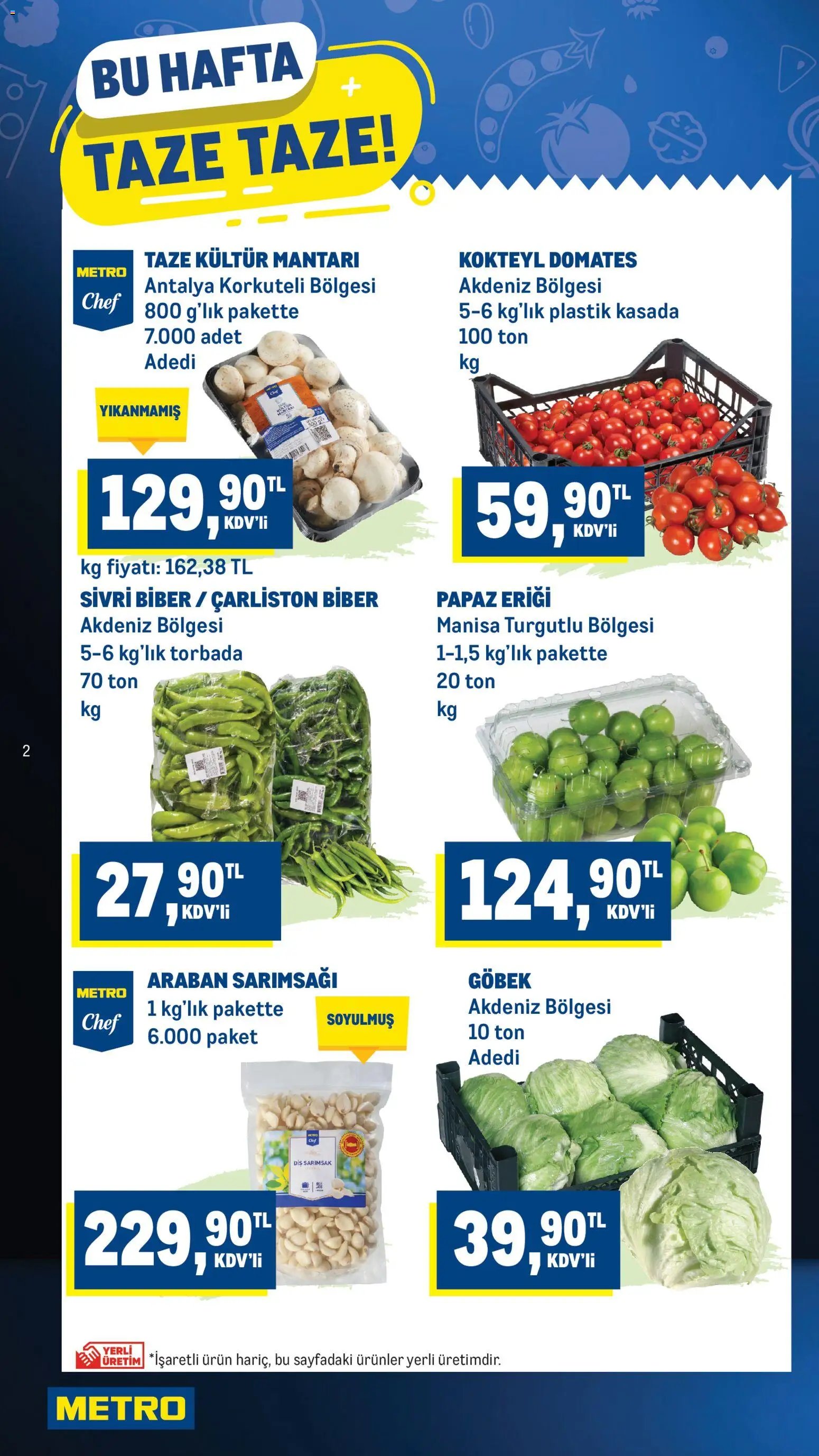 Metro Katalog