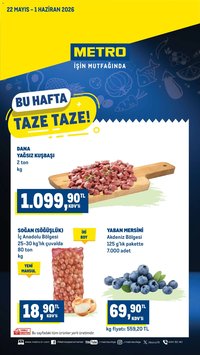 Metro Katalog