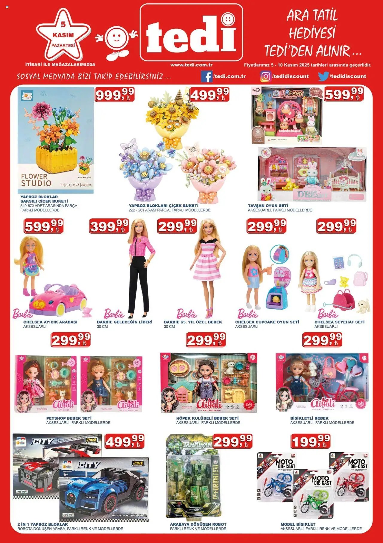 Tedi  - Katalog