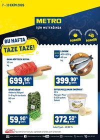 Metro Katalog