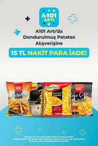 A101 - Arti