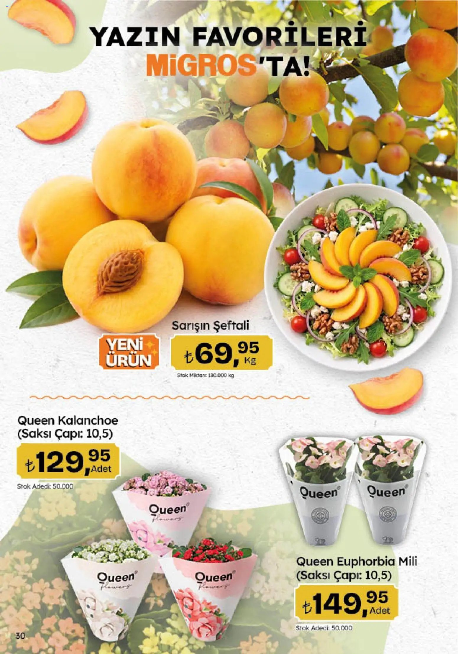 Migros Katalog - 5M Migroskop Dijital