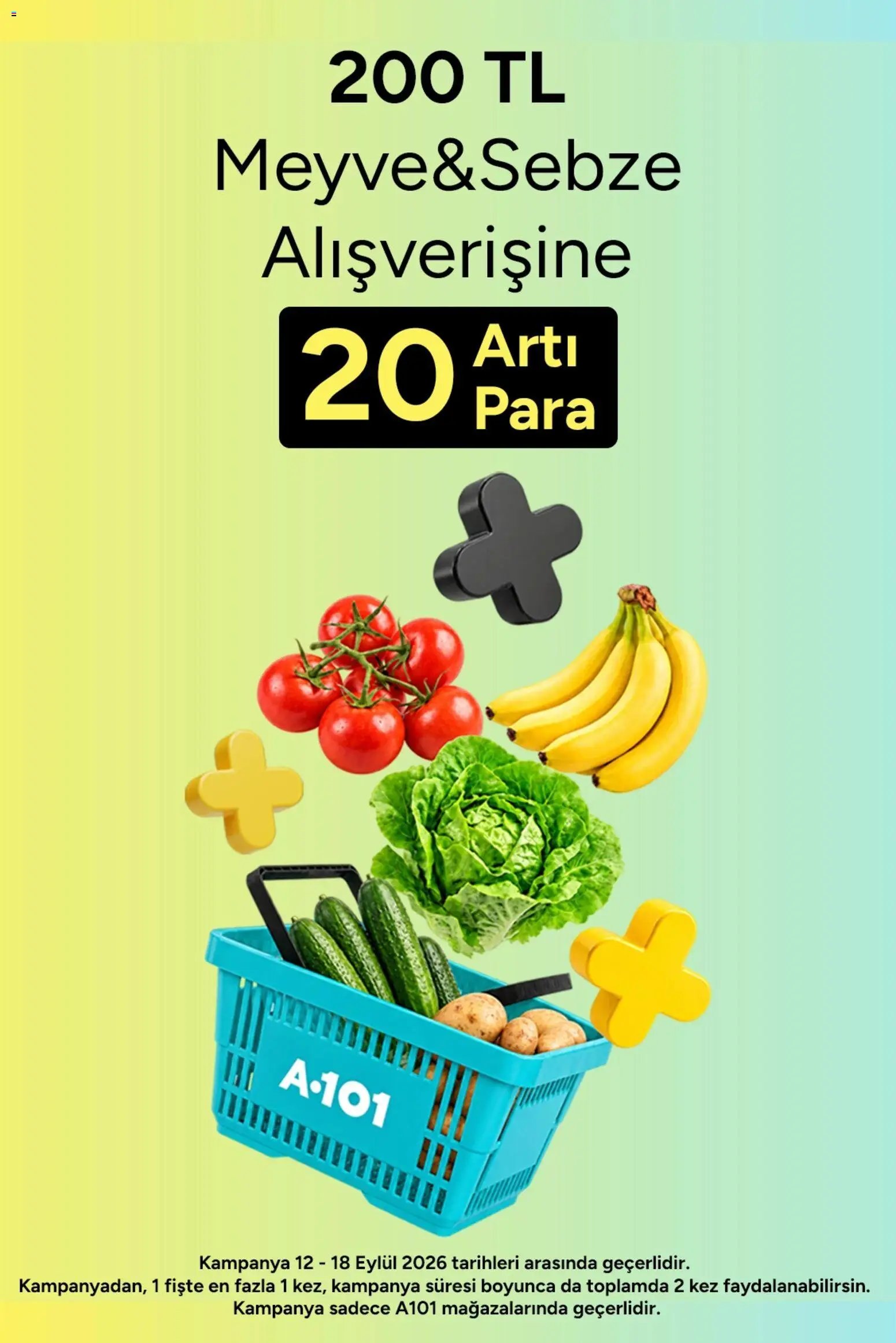 A101 - Arti