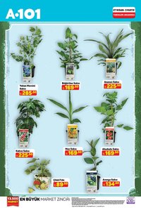 A101 İndirim