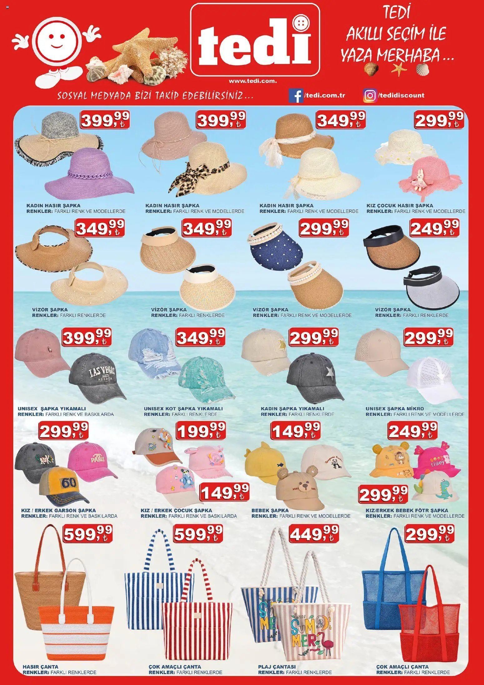 Tedi  Katalog