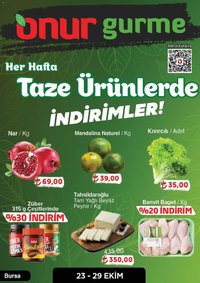 Onur Market Katalog Gurme - Bursa