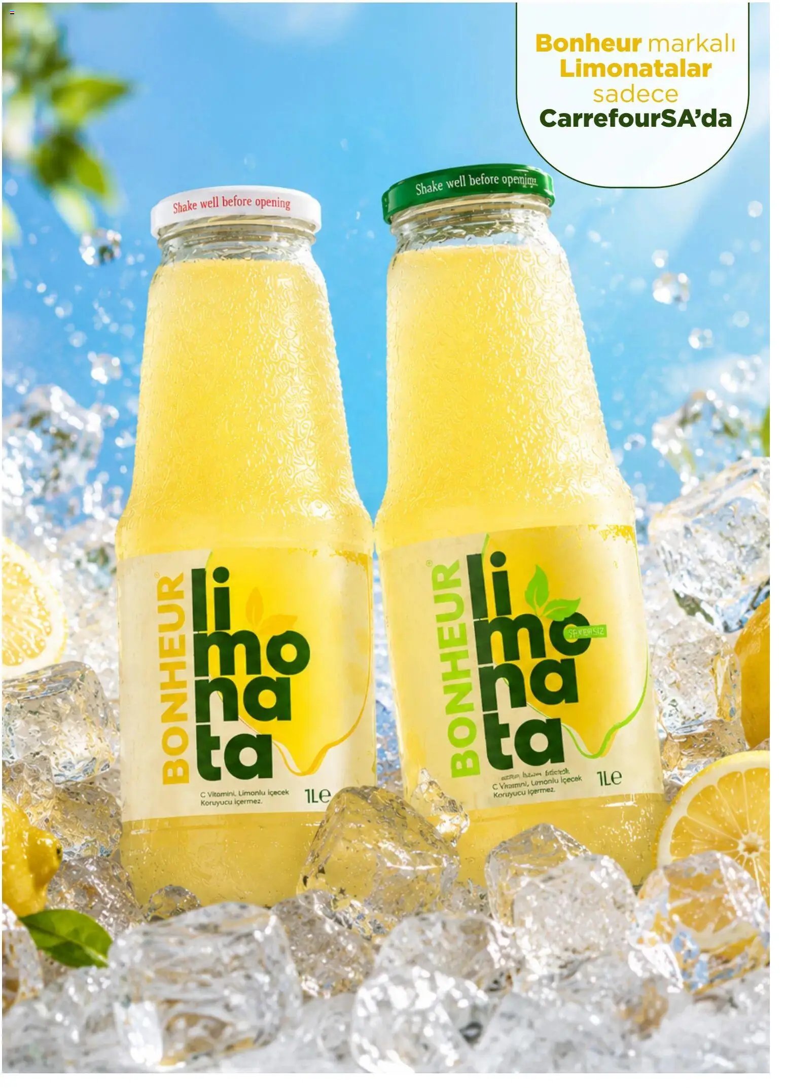 CarrefourSA - Katalog Gurme