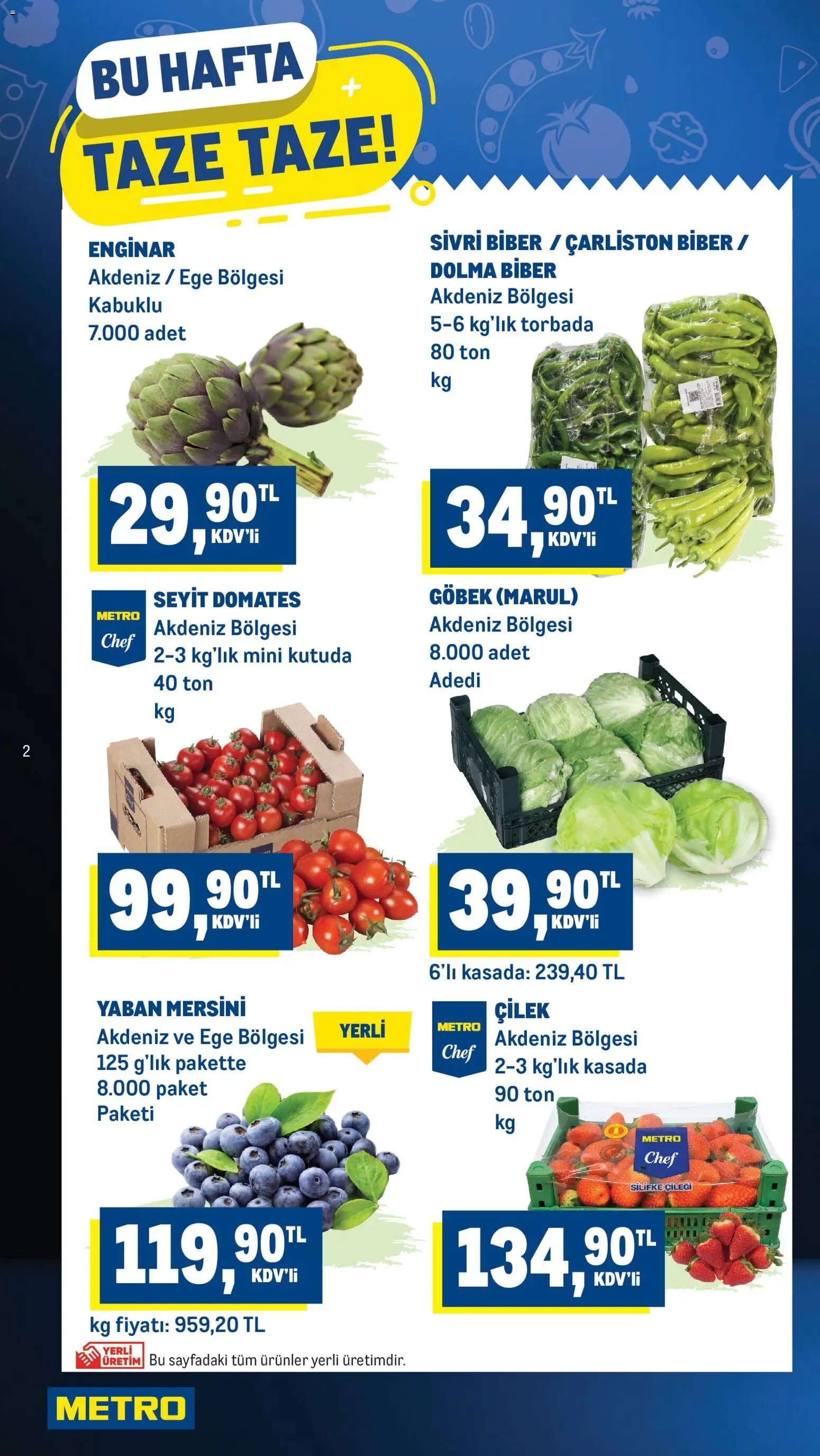 Metro Katalog