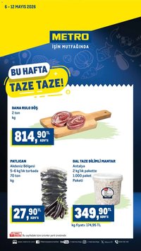 Metro Katalog