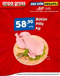 Anpa Gross Piliç Katalog