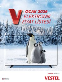 Vestel Tüketici Elektroniği