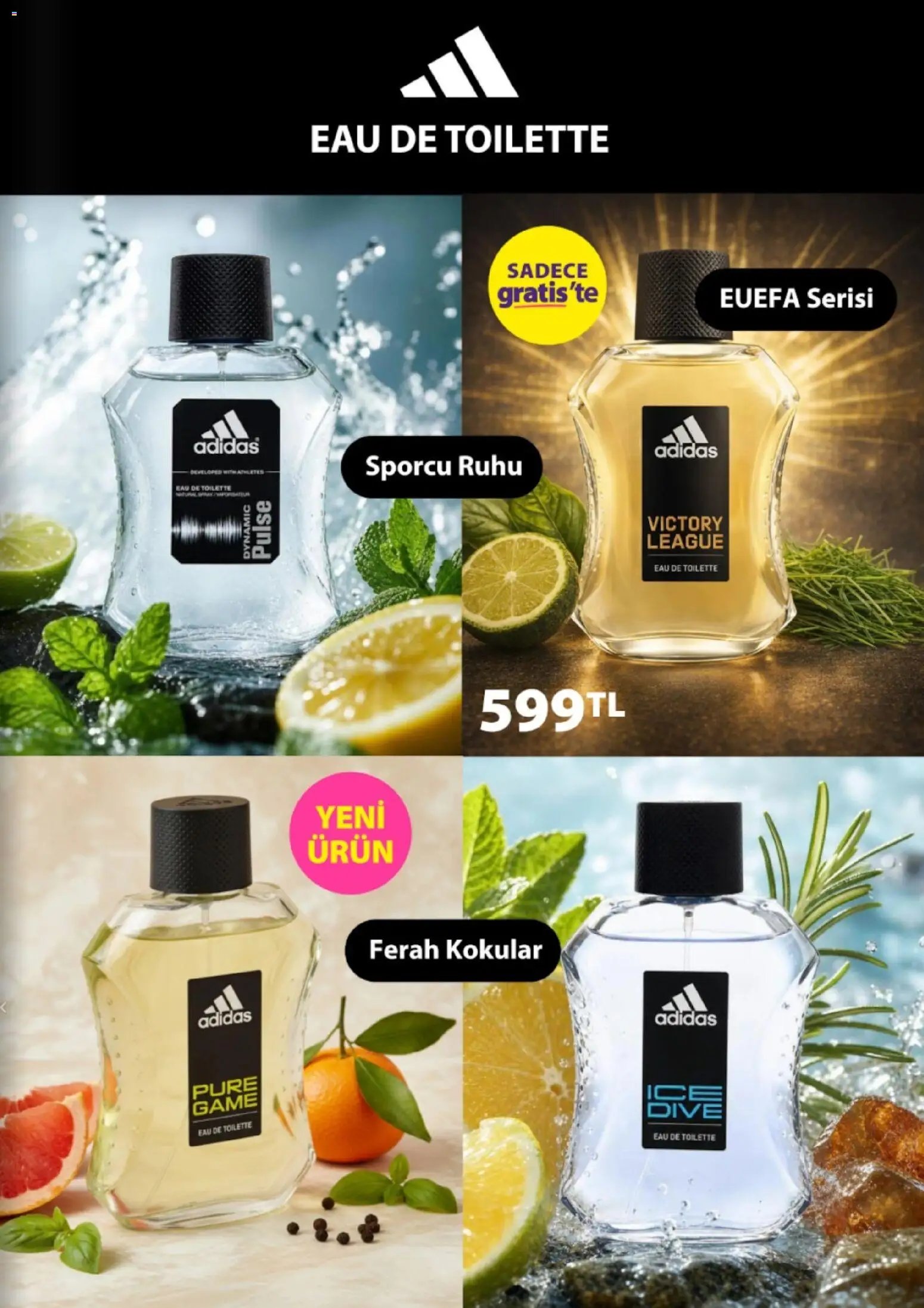 Gratis Katalog