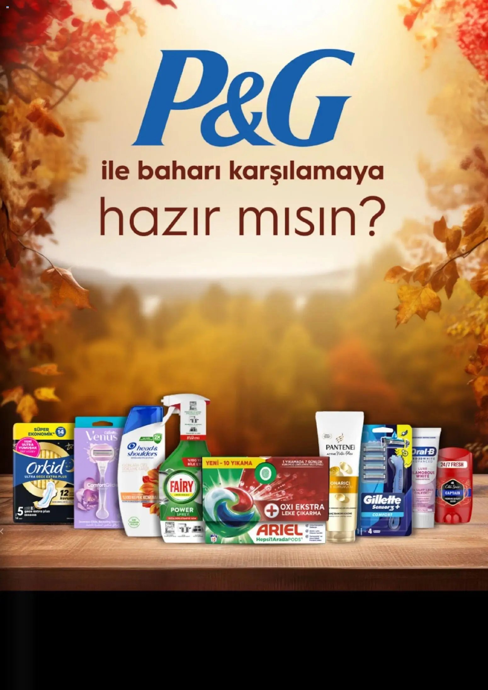 Gratis Katalog