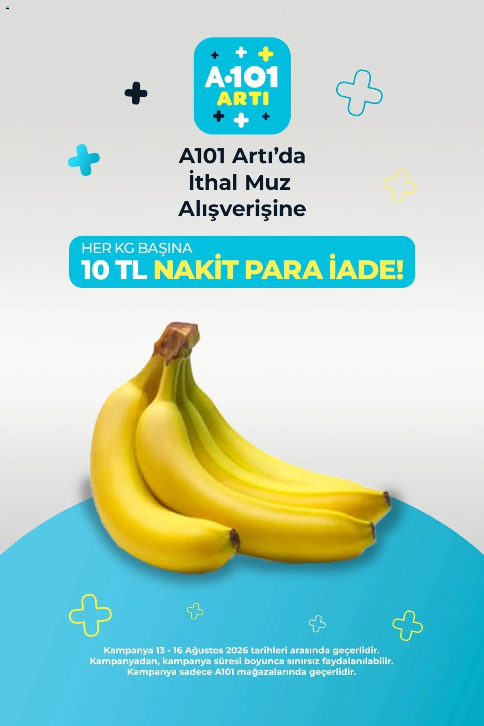 A101 - Arti
