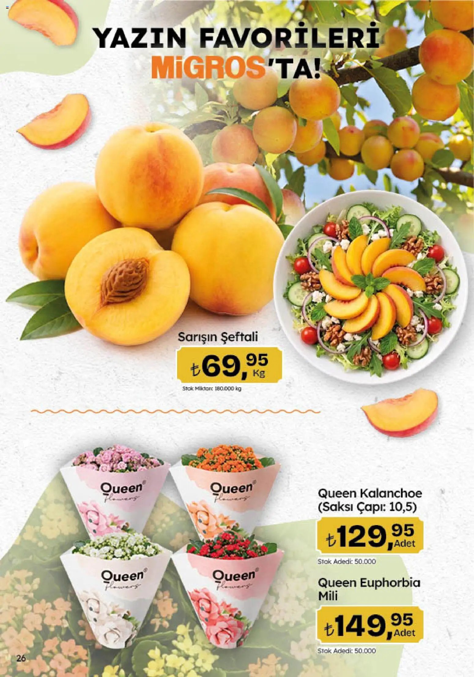 Migros Katalog - Migroskop