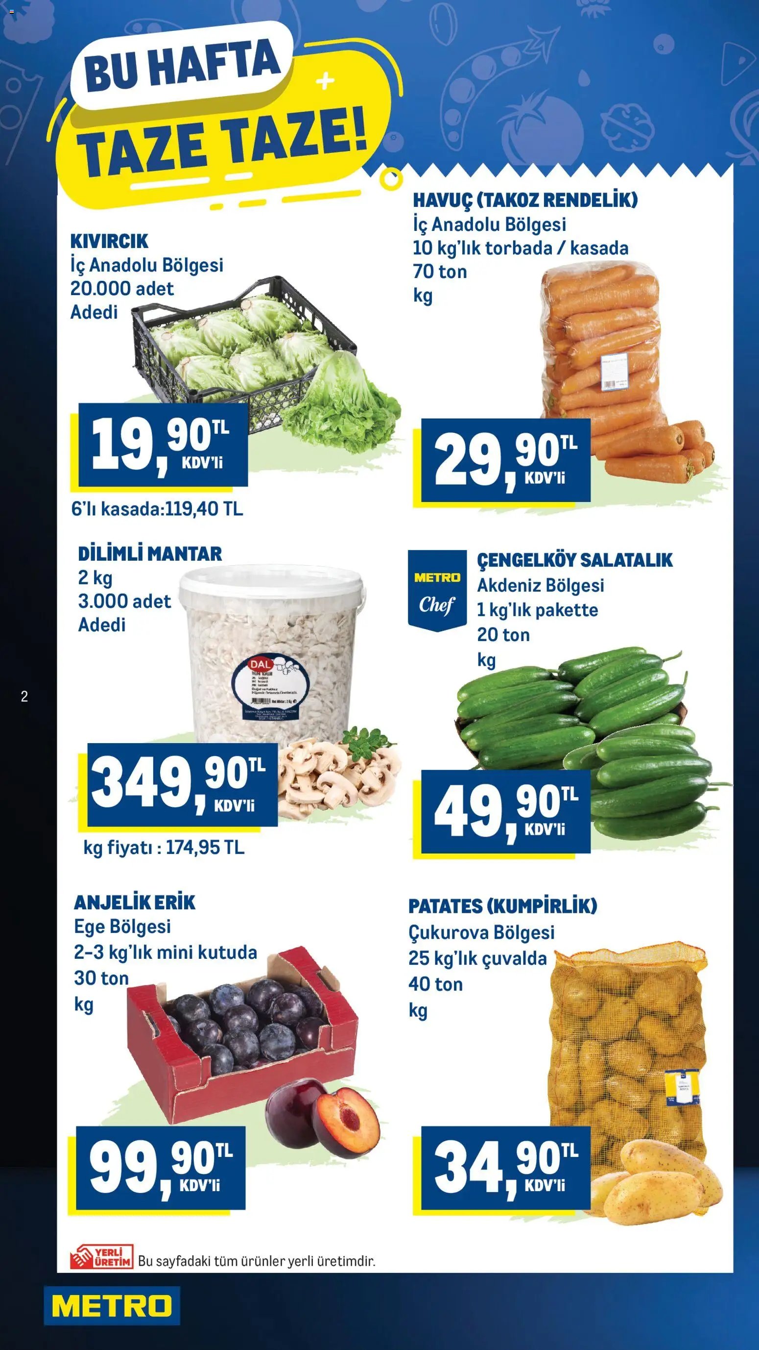 Metro Katalog
