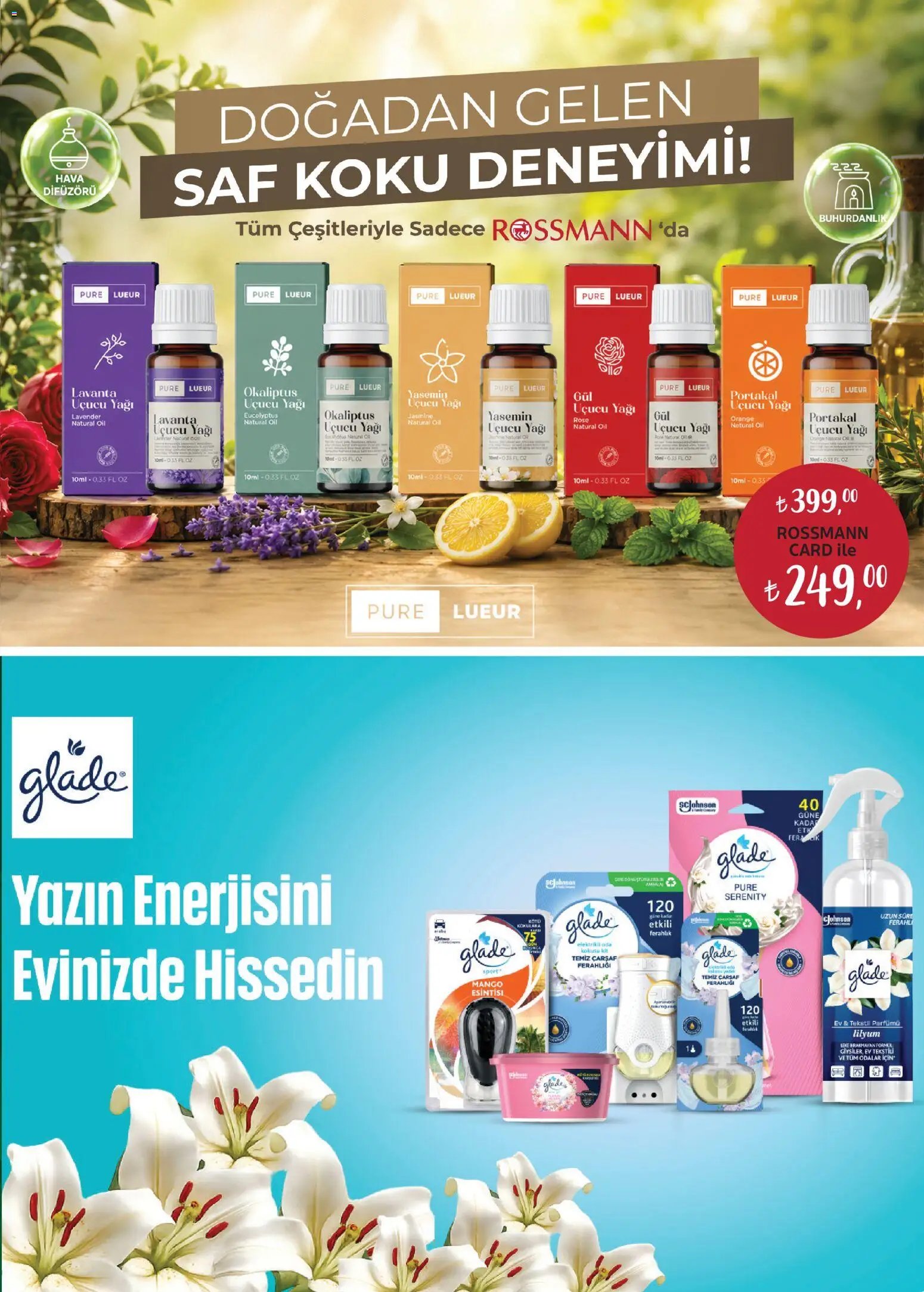Rossmann - Ağustos Ev & Yaşam Kataloğu