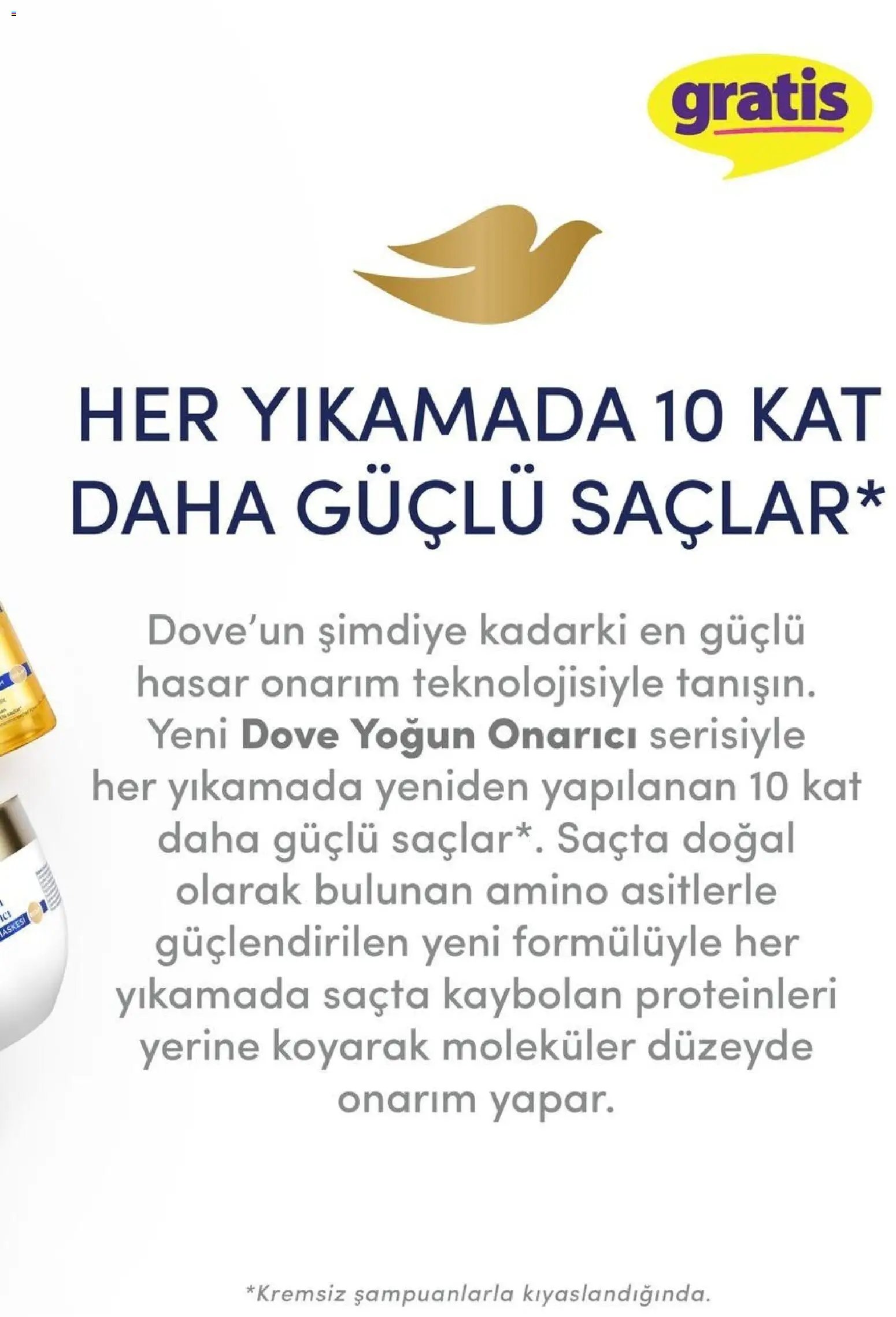 Gratis Katalog