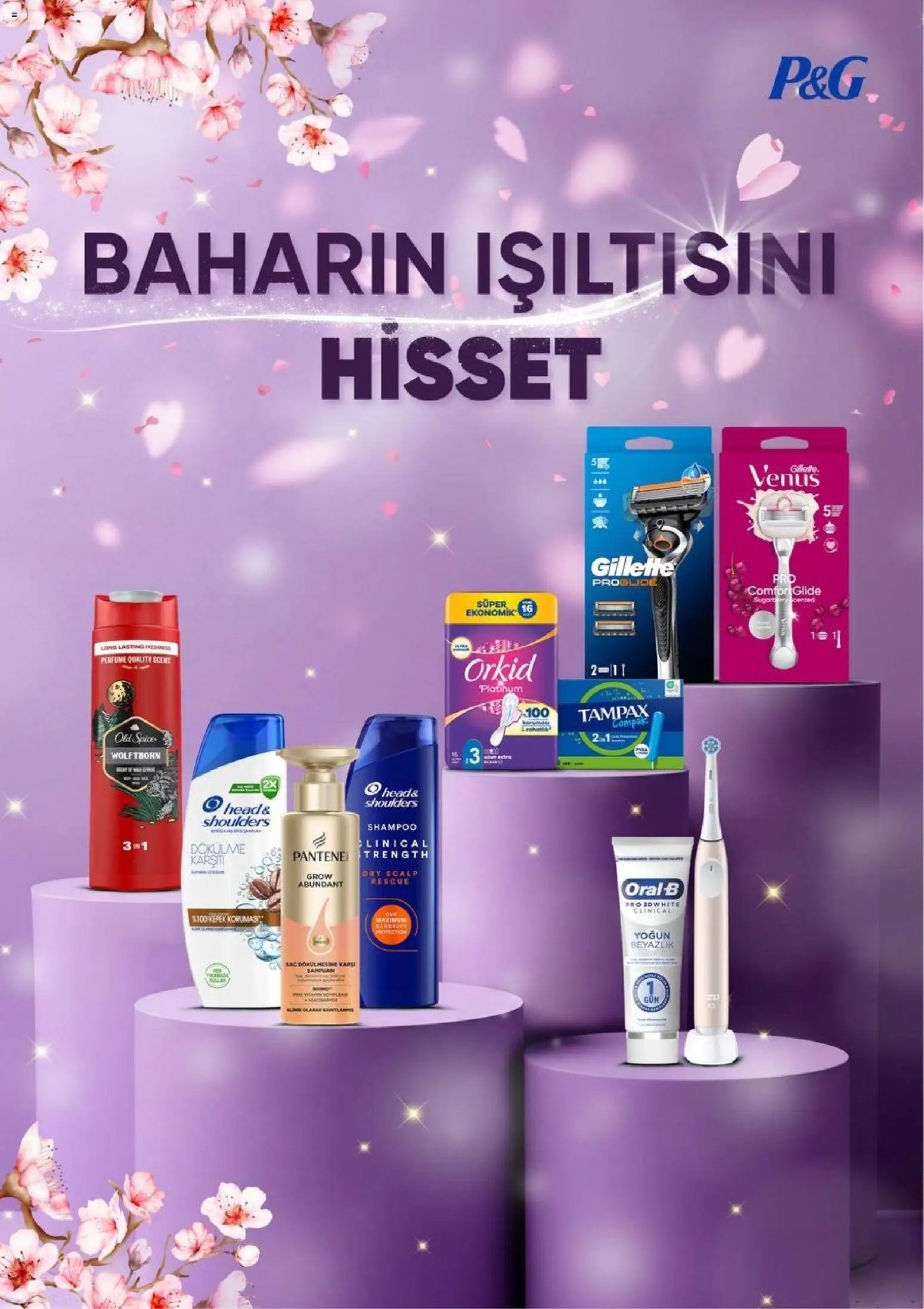 Gratis Katalog