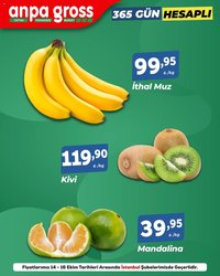 Anpa Gross Meyve Sebze