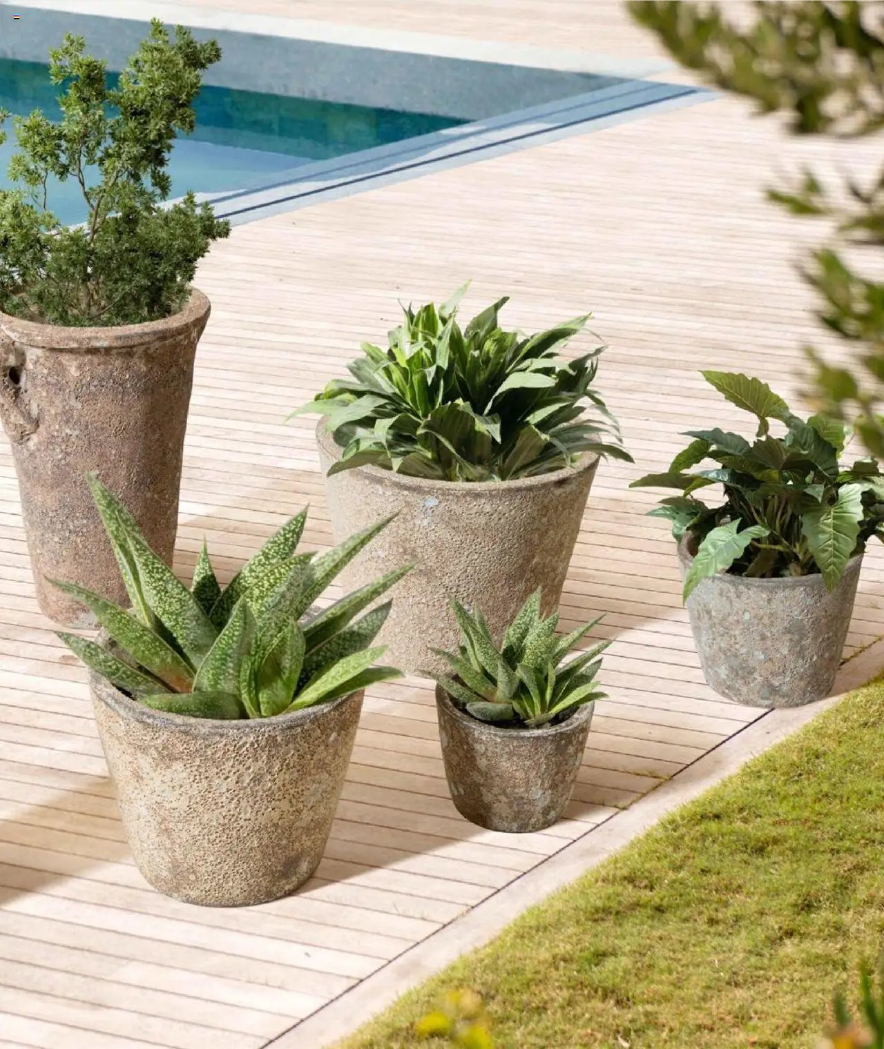 Mudo Katalog - BAHÇE 2025