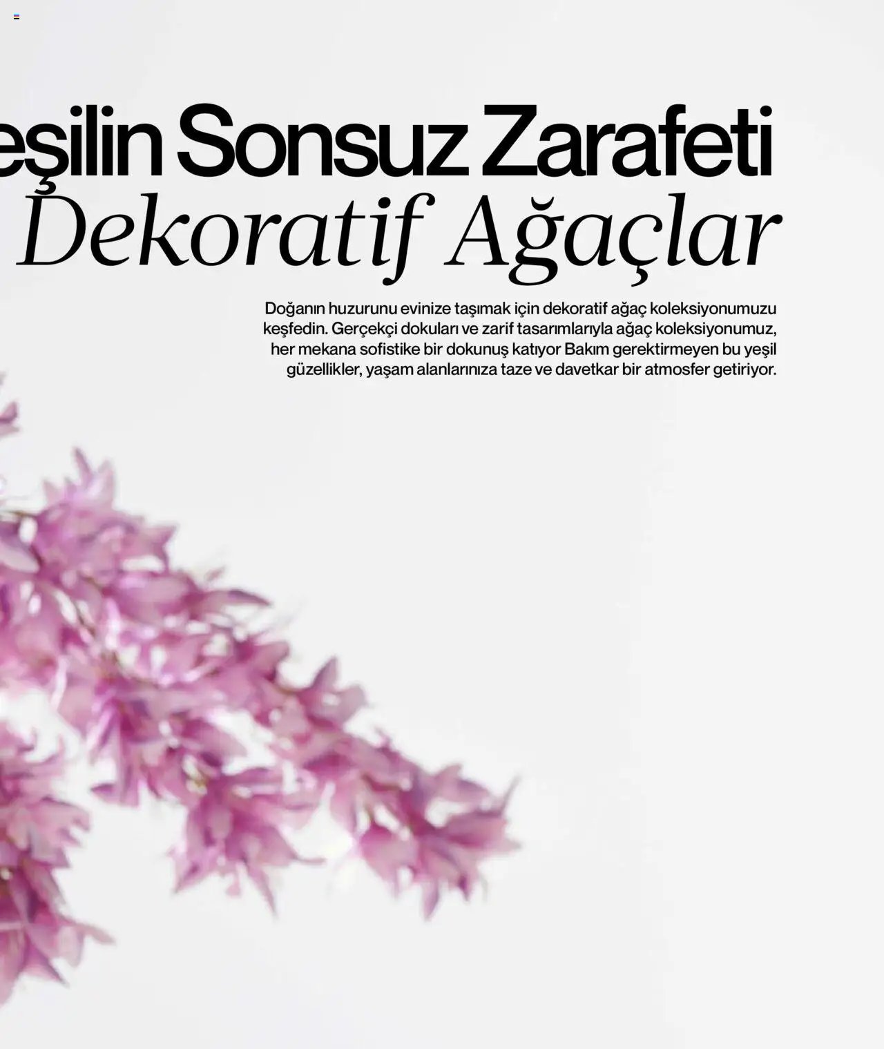 Mudo Katalog - BAHÇE 2025