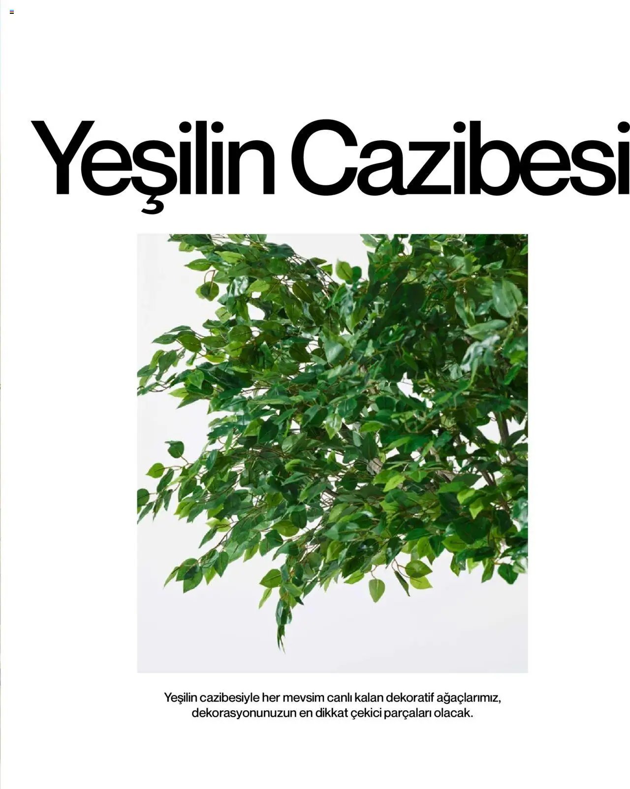 Mudo Katalog - BAHÇE 2025