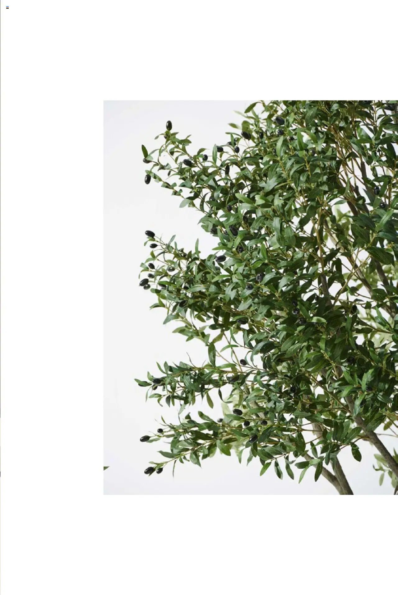 Mudo Katalog - BAHÇE 2025