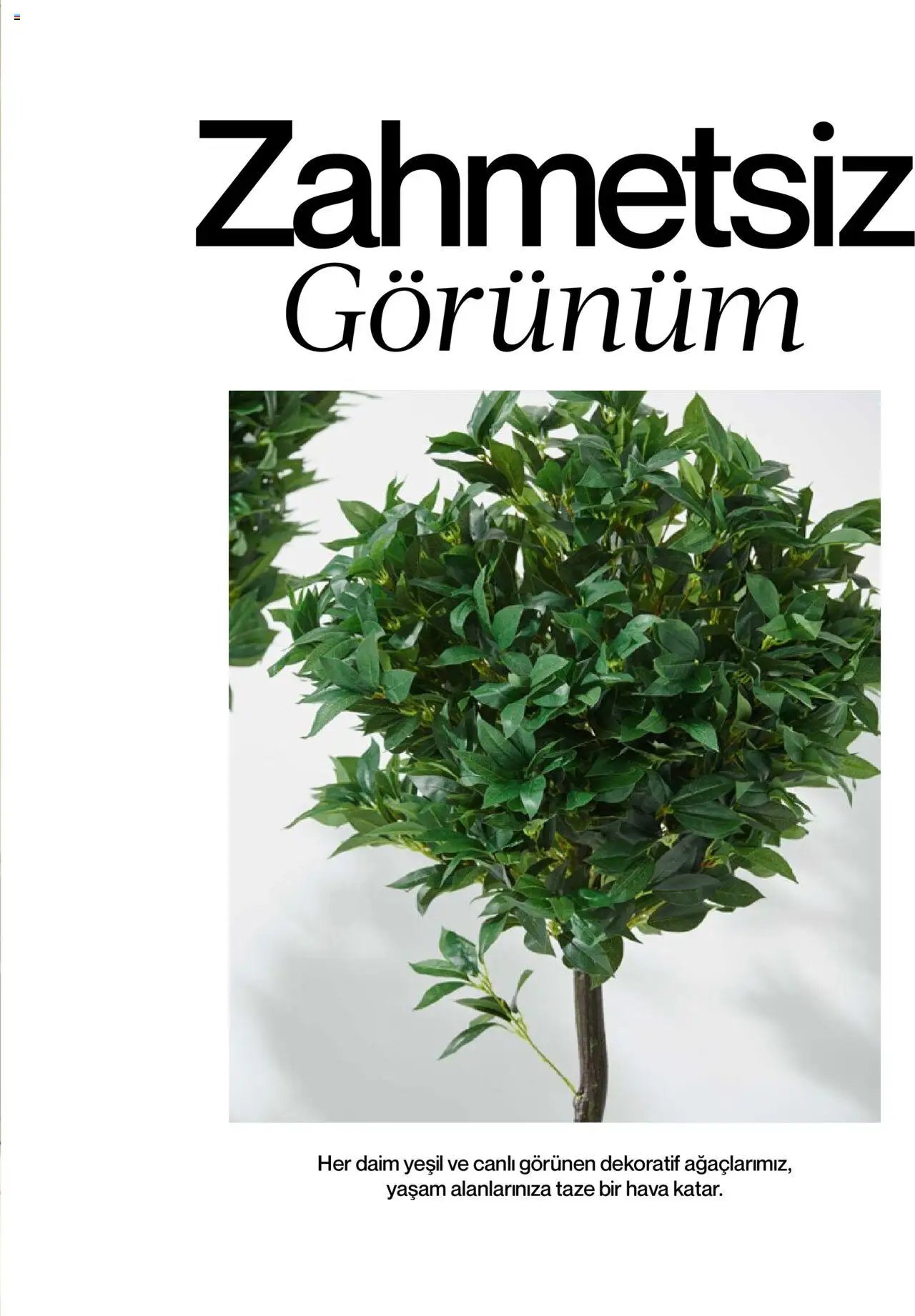 Mudo Katalog - BAHÇE 2025