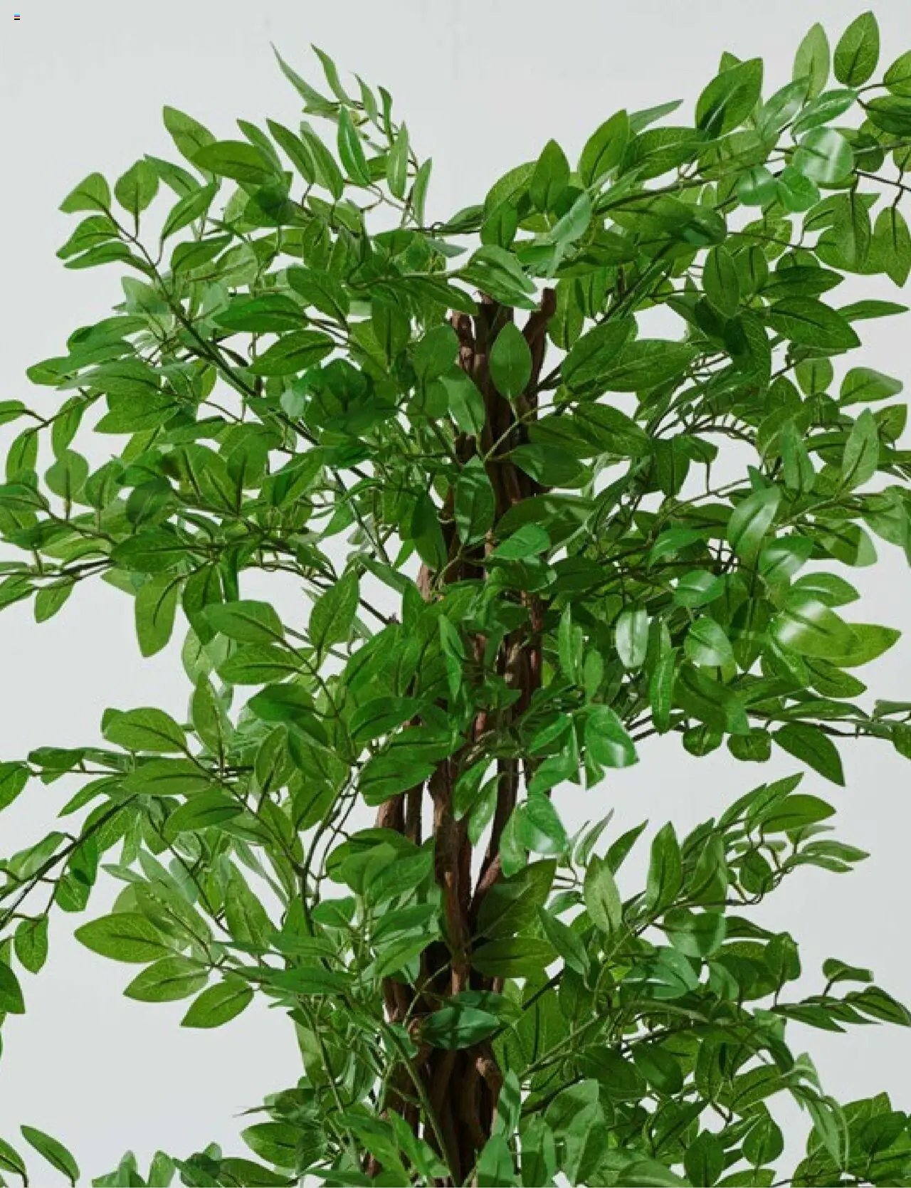 Mudo Katalog - BAHÇE 2025