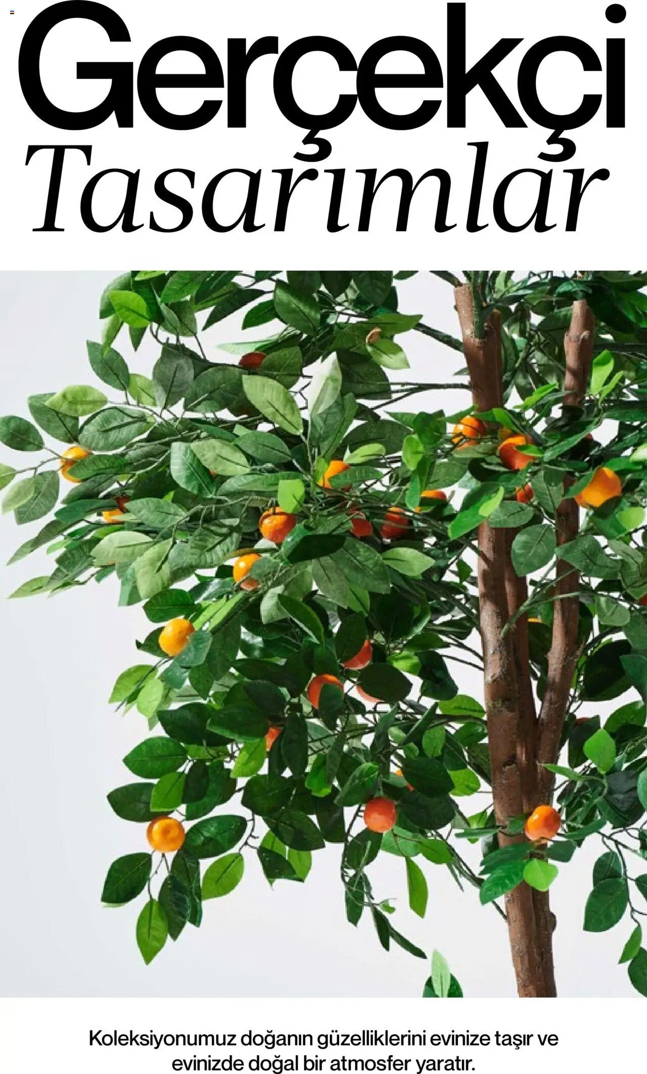 Mudo Katalog - BAHÇE 2025